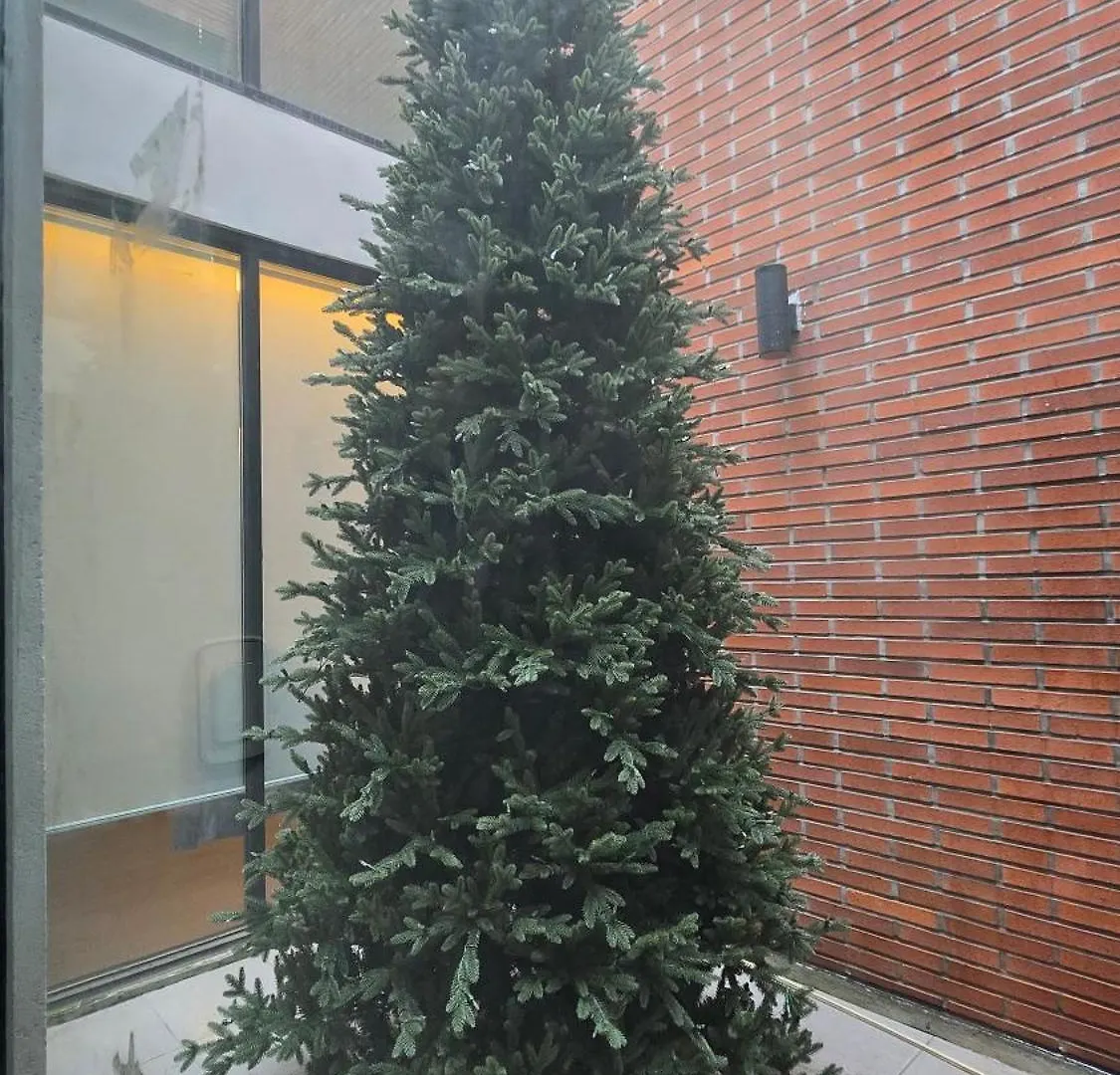 게스트하우스 Rare House 호텔 인천